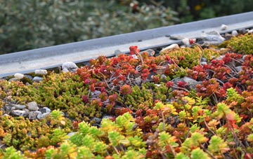 the cost of Titchberry green roof installation