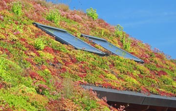 Titchberry living roof systems